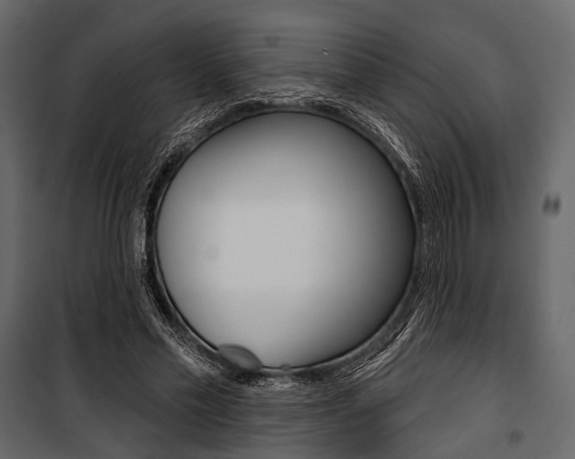 X0000100920589200806241115