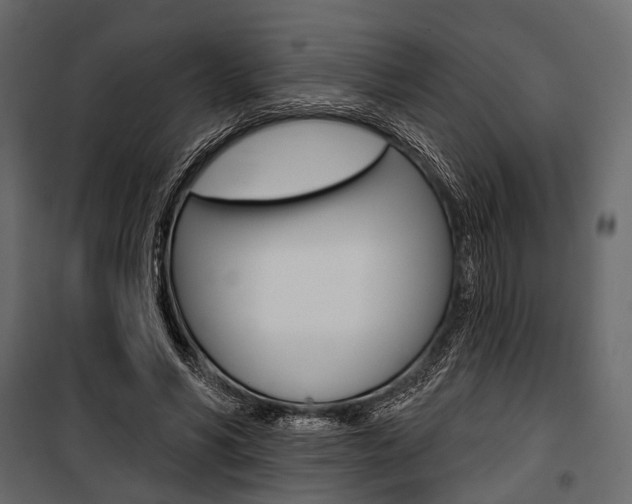 X0000100920590200806241115