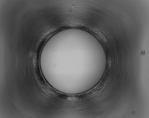 X0000100920591200806241115