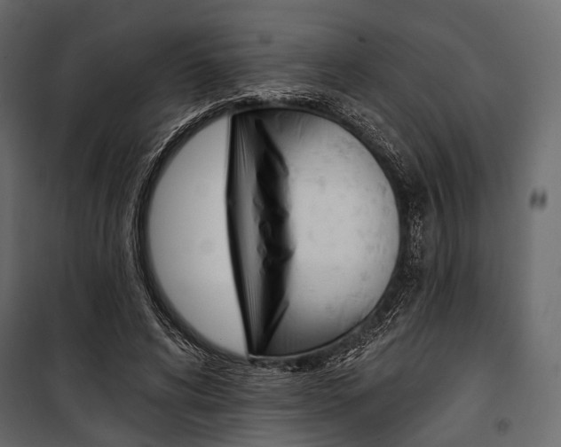 X0000100920592200806241115