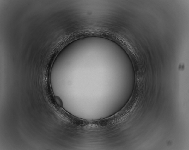 X0000100920593200806241115