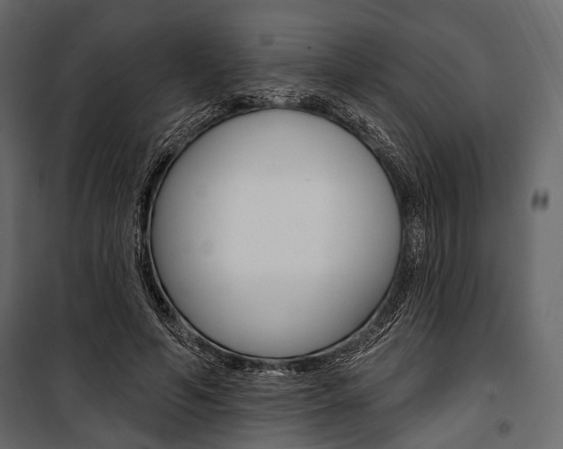 X0000100920594200806241115