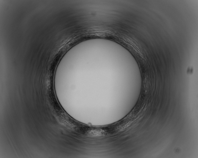 X0000100920595200806241115