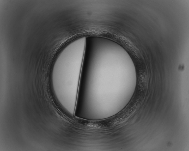 X0000100920596200806241115