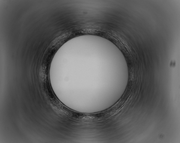 X0000100920599200806241115