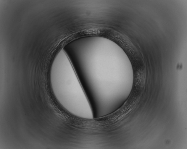X0000100920600200806241115