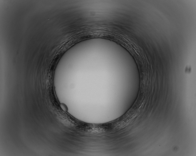 X0000100920601200806241115
