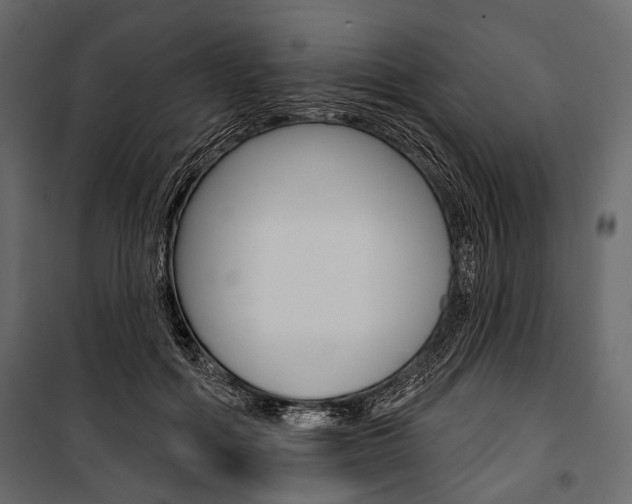 X0000100920602200806241115