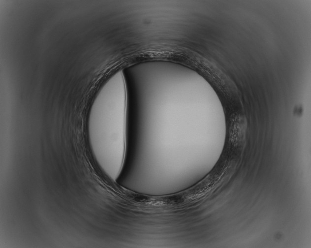 X0000100920604200806241115