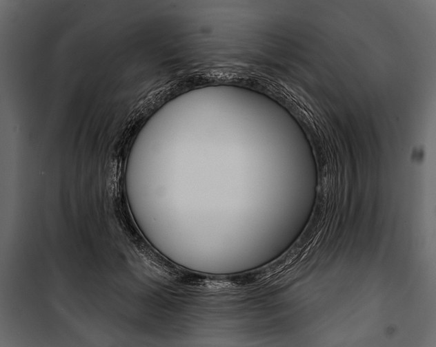 X0000100920605200806241115