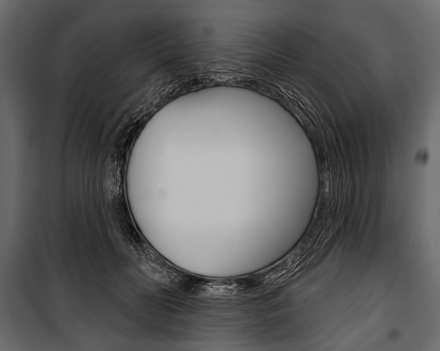 X0000100920606200806241115