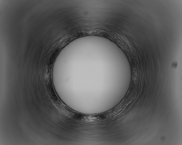 X0000100920607200806241115