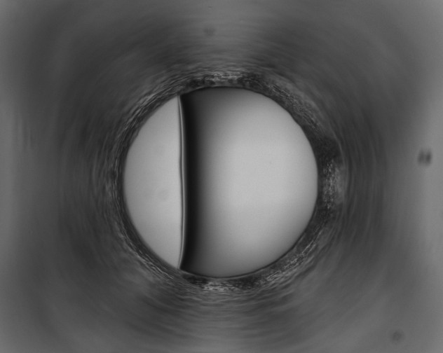X0000100920608200806241115