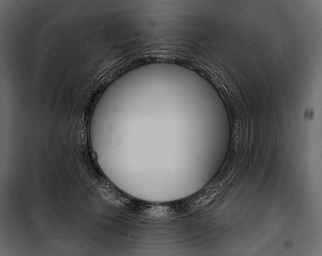 X0000100920609200806241115