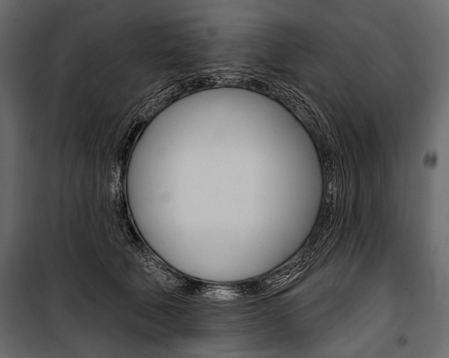 X0000100920610200806241115