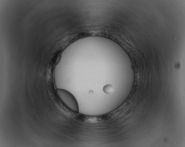 X0000100920611200806241115