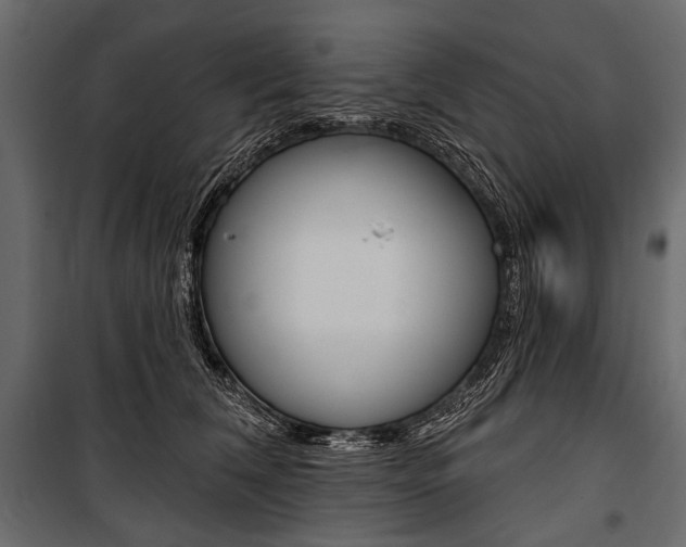 X0000100920612200806241115