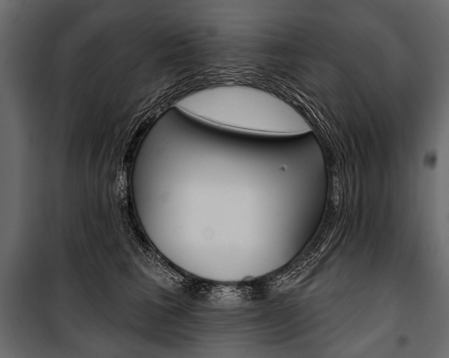 X0000100920613200806241115