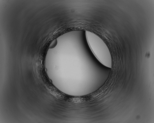 X0000100920615200806241115