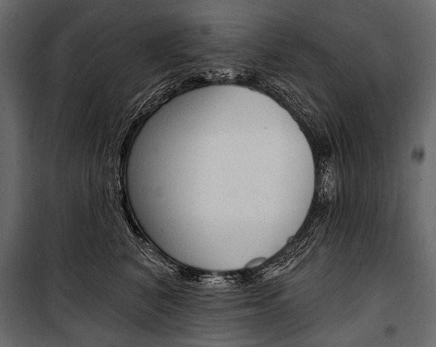 X0000100920616200806241115