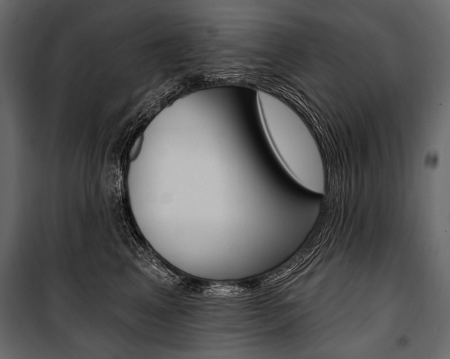 X0000100920617200806241115