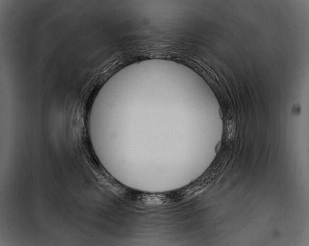 X0000100920618200806241114