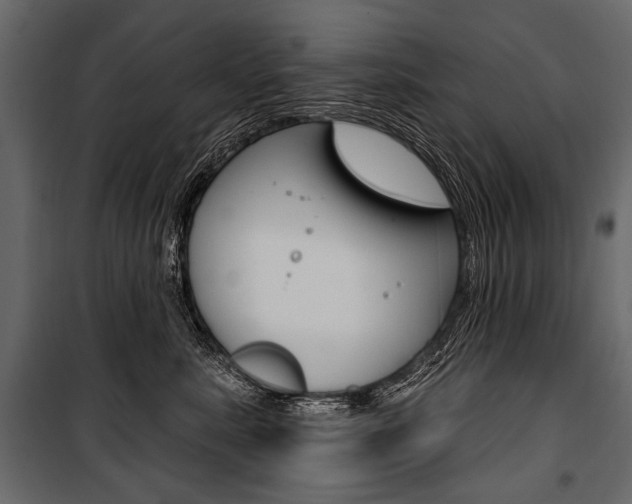 X0000100920619200806241114
