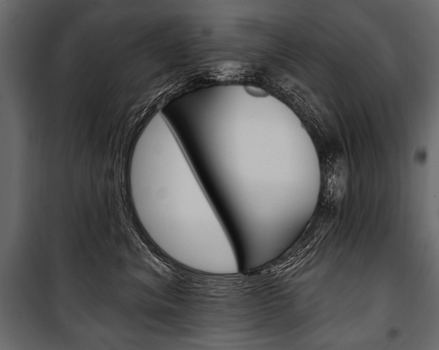 X0000100920620200806241114