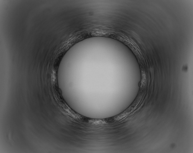 X0000100920621200806241114