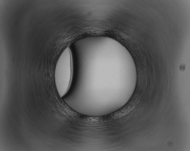 X0000100920624200806241114