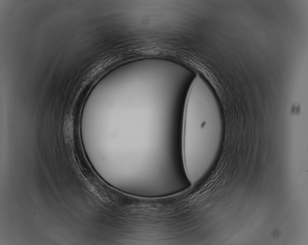 X0000100920626200806241114