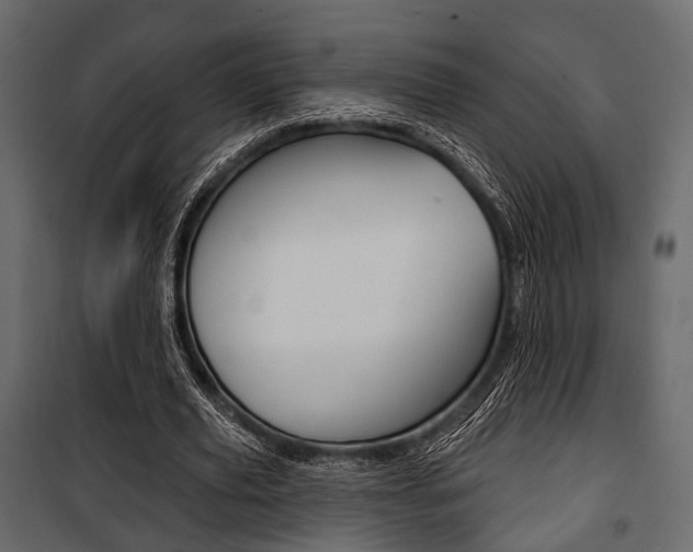 X0000100920629200806241114