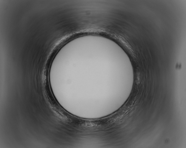 X0000100920632200806241114