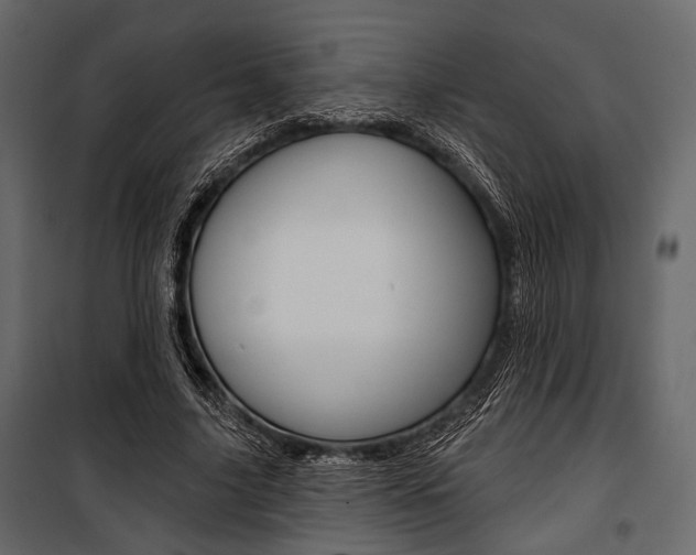 X0000100920635200806241114