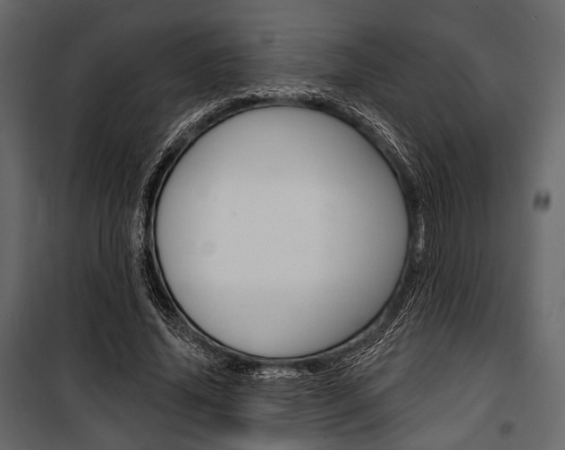 X0000100920636200806241114
