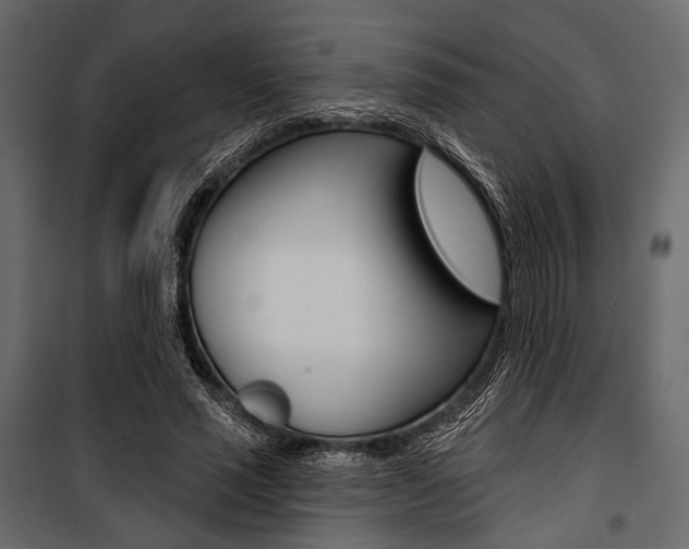 X0000100920637200806241114
