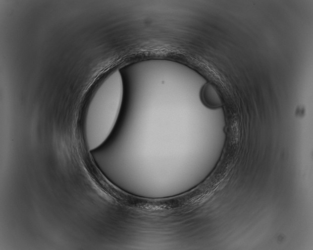 X0000100920638200806241114
