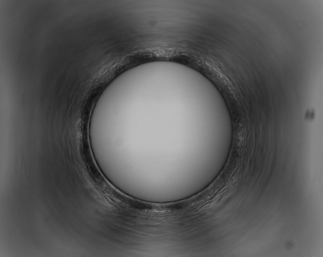 X0000100920639200806241114