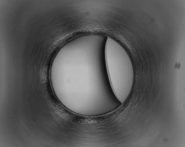 X0000100920640200806241114