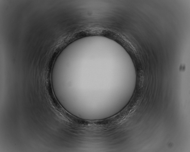 X0000100920641200806241114