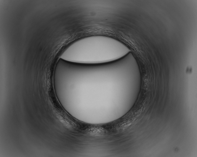 X0000100920642200806241114