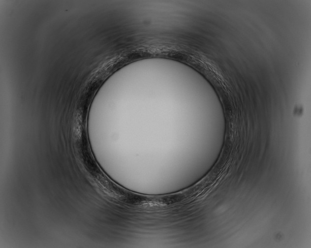 X0000100920644200806241114