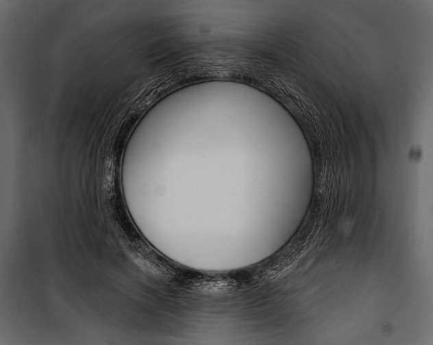 X0000100920646200806241114