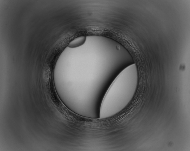 X0000100920647200806241114
