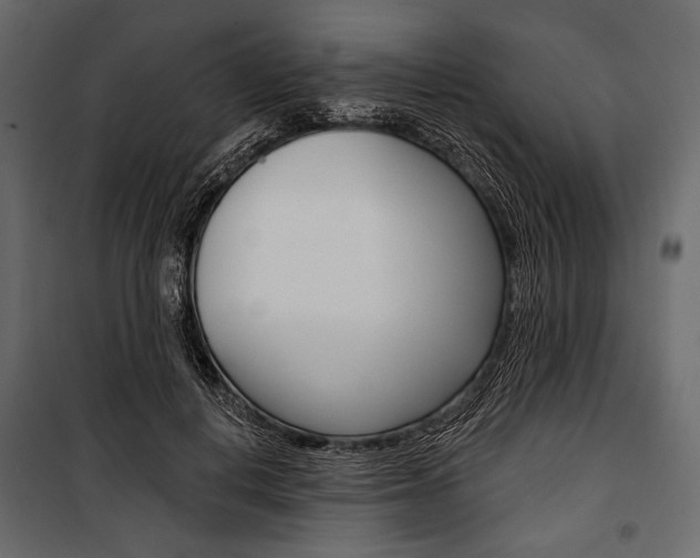 X0000100920648200806241114