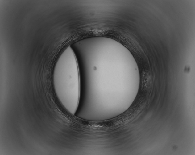 X0000100920650200806241114