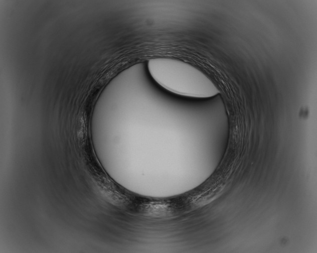 X0000100920651200806241114