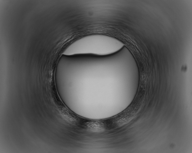 X0000100920652200806241114