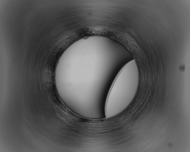 X0000100920653200806241114