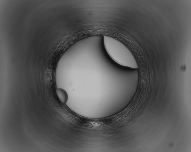 X0000100920654200806241114
